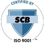 BSI